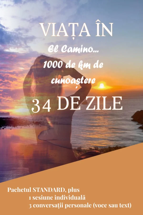 Ghidul tău El Camino Premium