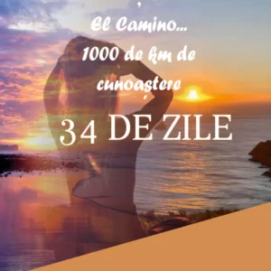 Ghidul tău El Camino Standard