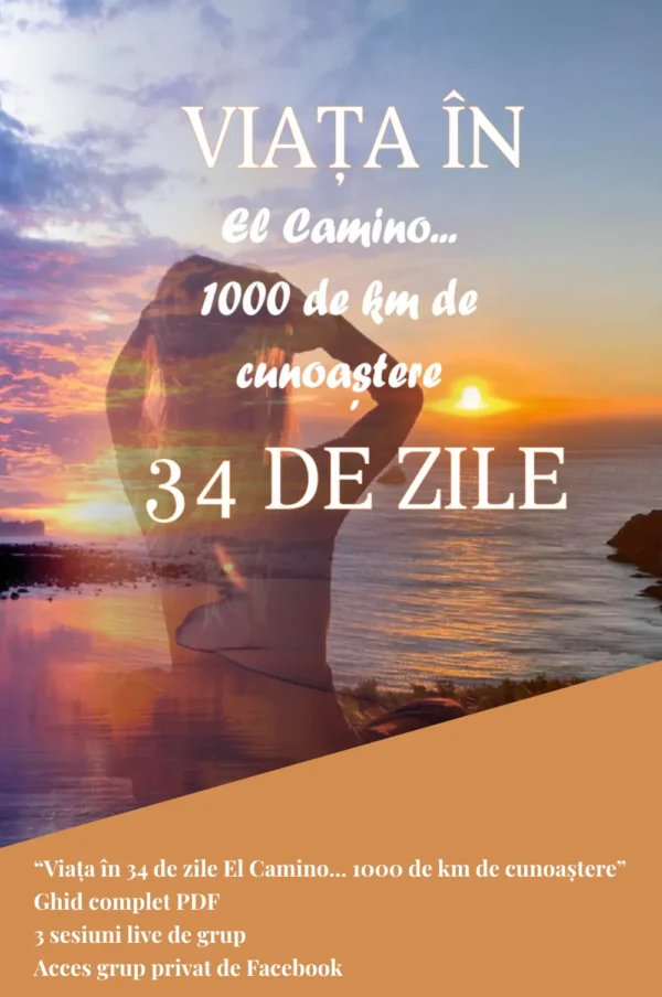 Ghidul tău El Camino Standard